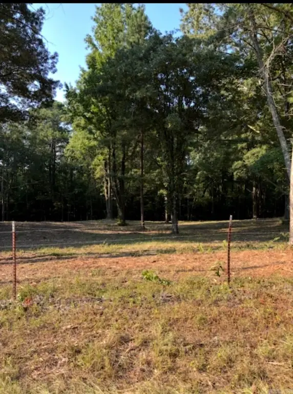 Picture 8