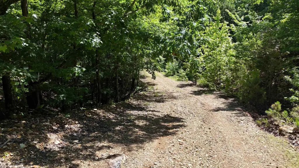 Picture 13