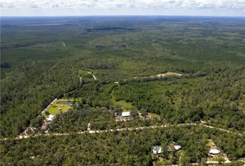 37 Acres of Untouched Land