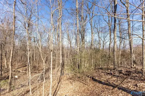 Huntsville Land with Potential Views