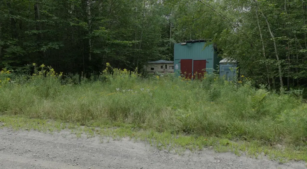 Picture 3