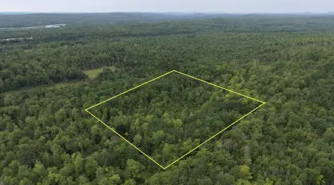 Wooded Recreational Land