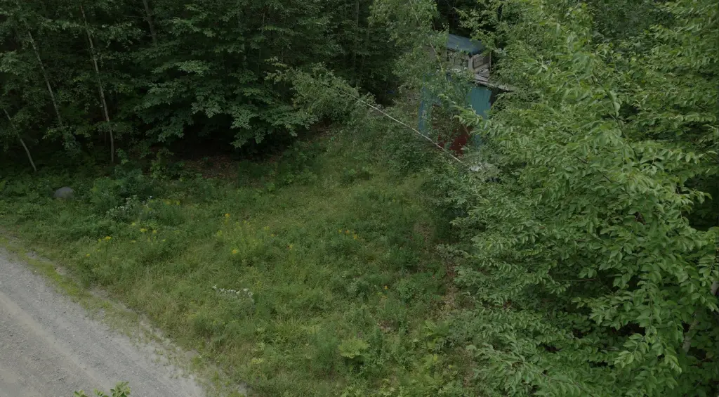 Picture 4