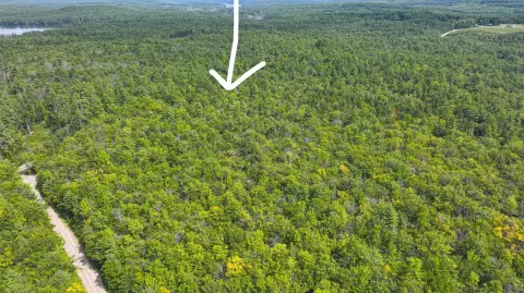 Surveyed Rural Land Parcel