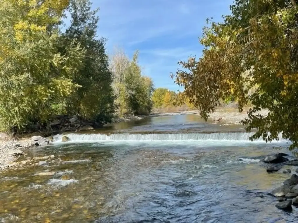 Picture 11
