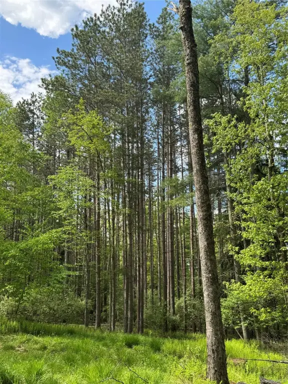 Picture 24