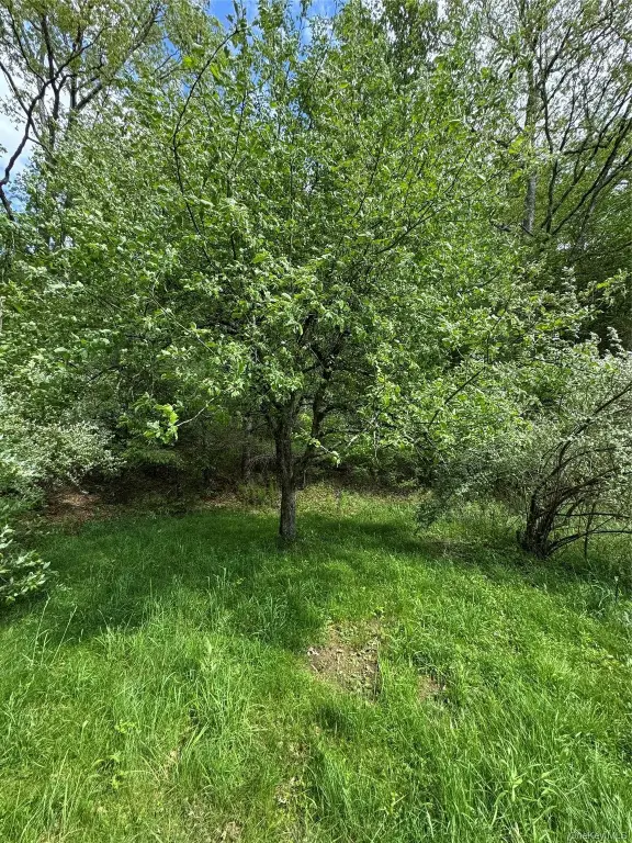 Picture 15