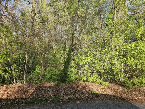 Residential Land in Hobart, Indiana