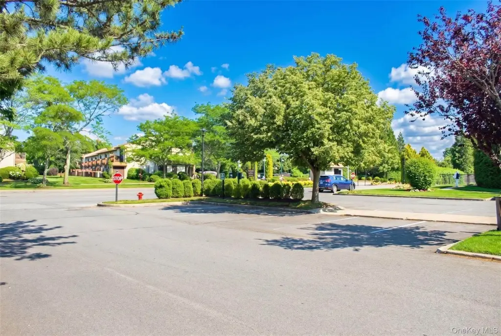Picture 25