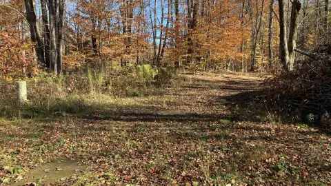 Chittenden, VT Cleared Land Parcel