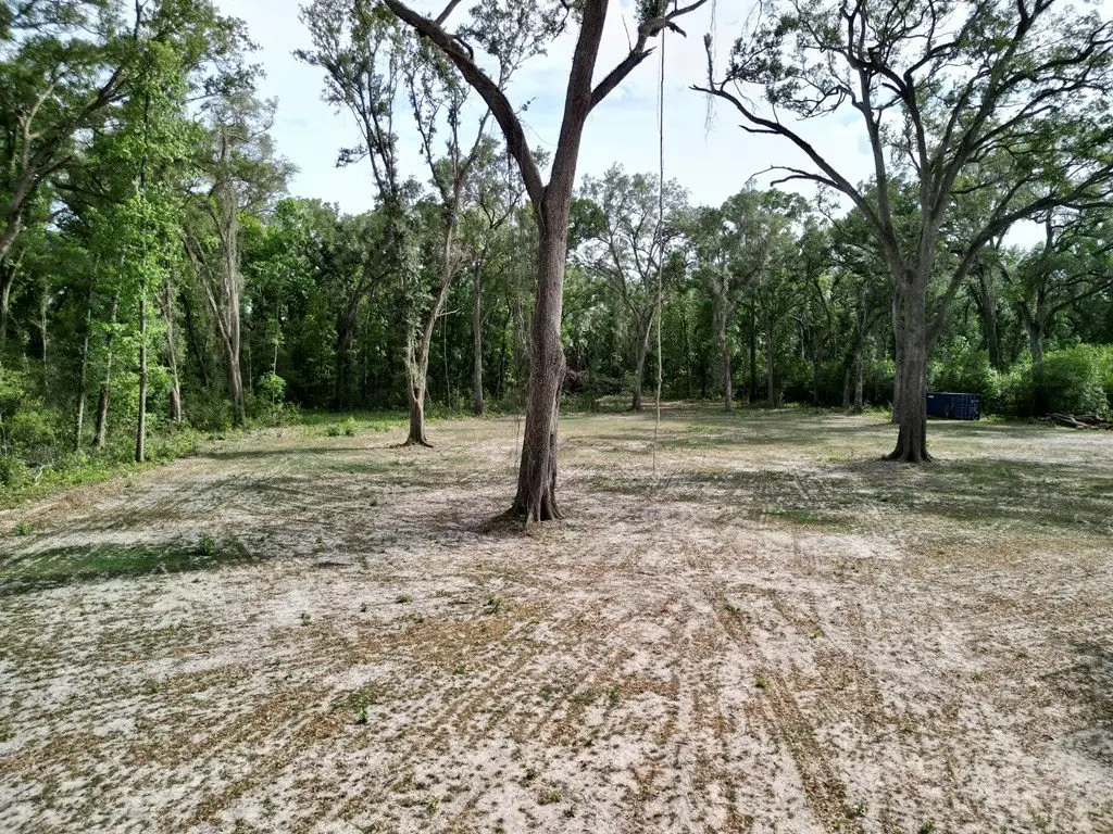 Picture 28