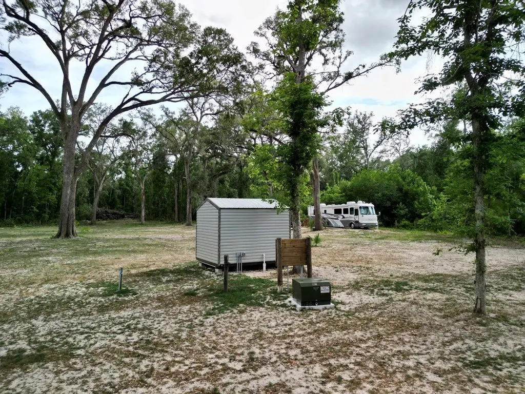Picture 21