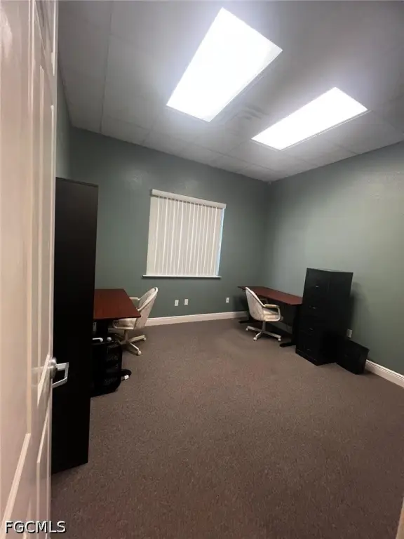 Picture 5