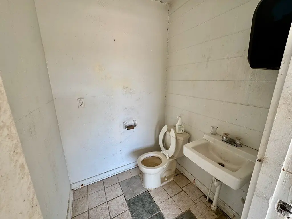 Picture 5