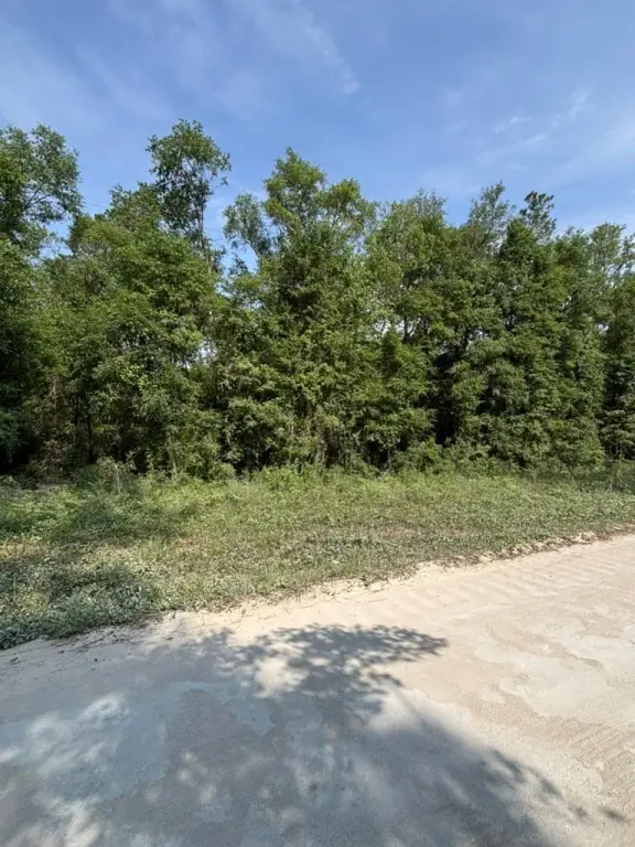 Picture 3