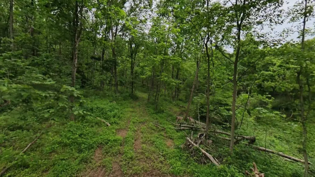 Picture 11