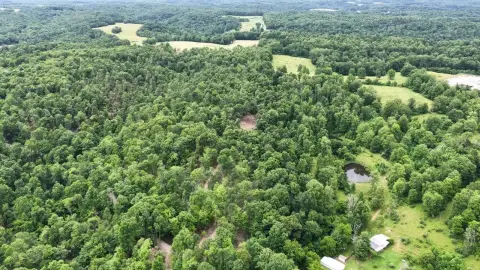 Creekside Hunting Land