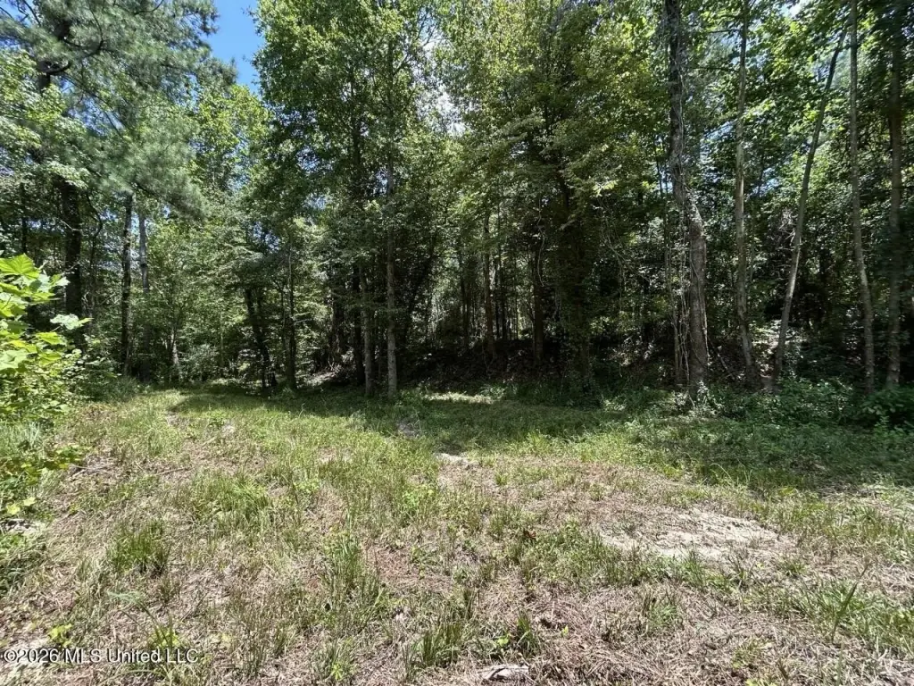 Picture 19
