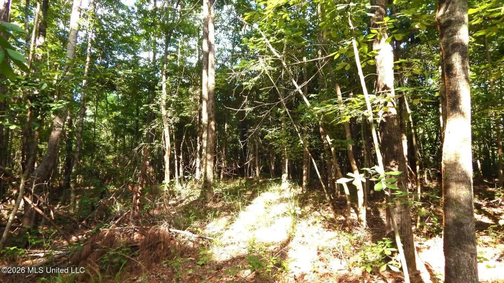 Picture 10