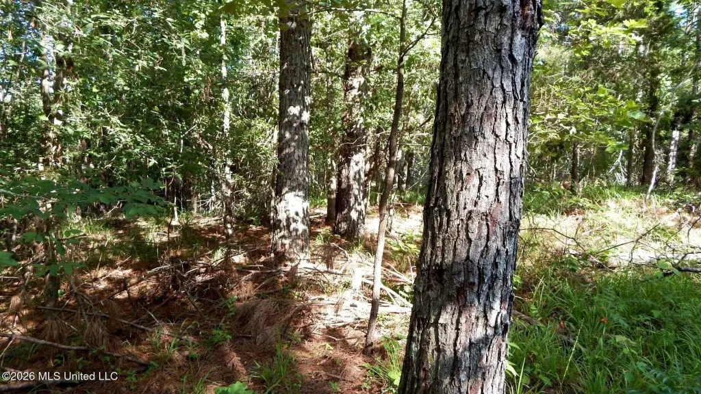 Picture 14