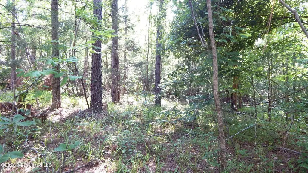 Picture 21