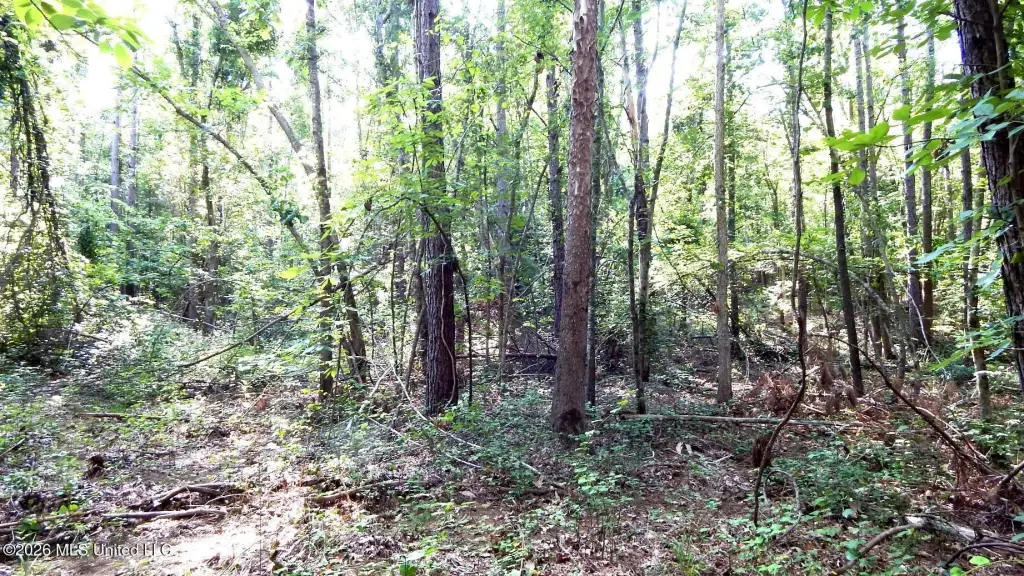 Picture 8