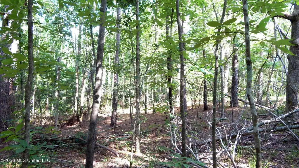 Picture 16
