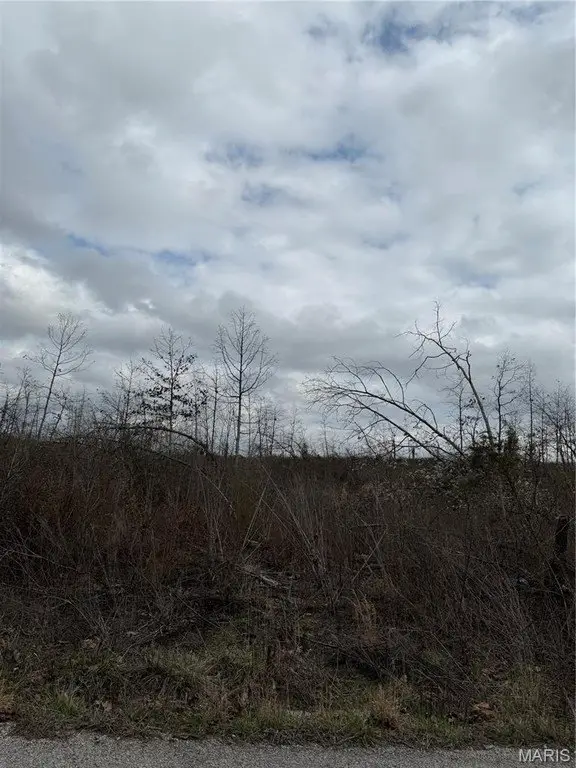 Picture 6