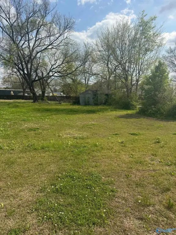Picture 23