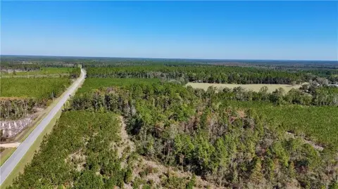81 Acres in Folkston, Georgia