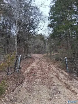 Trenton, AL Hunting Land