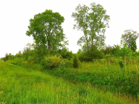 Corner Commercial Land