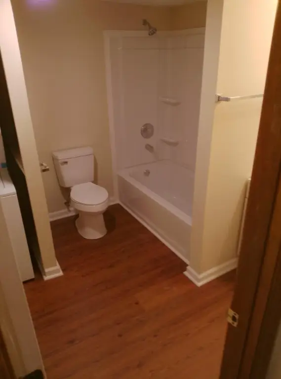 Picture 8