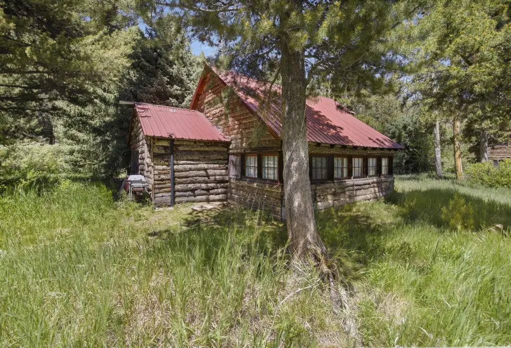 Picture 8