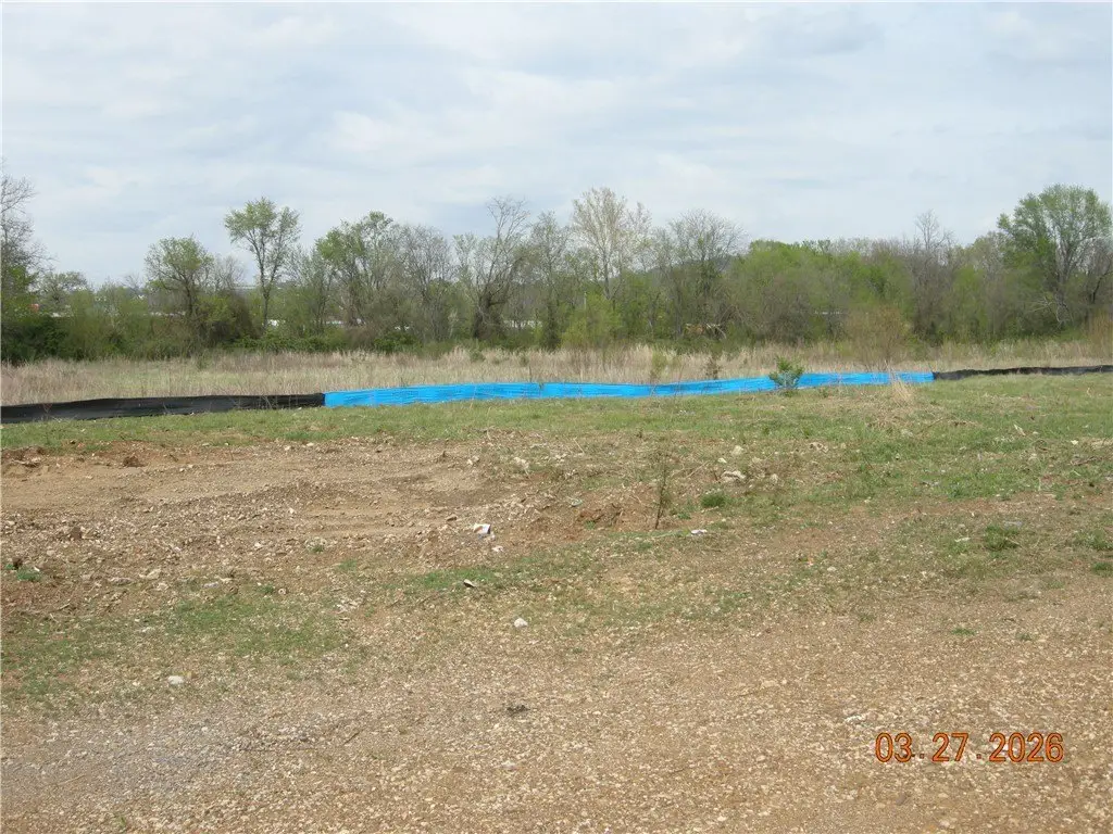 Picture 3