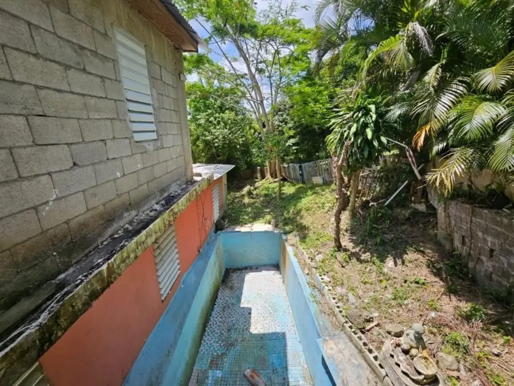 Picture 38