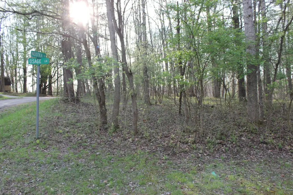 Picture 11
