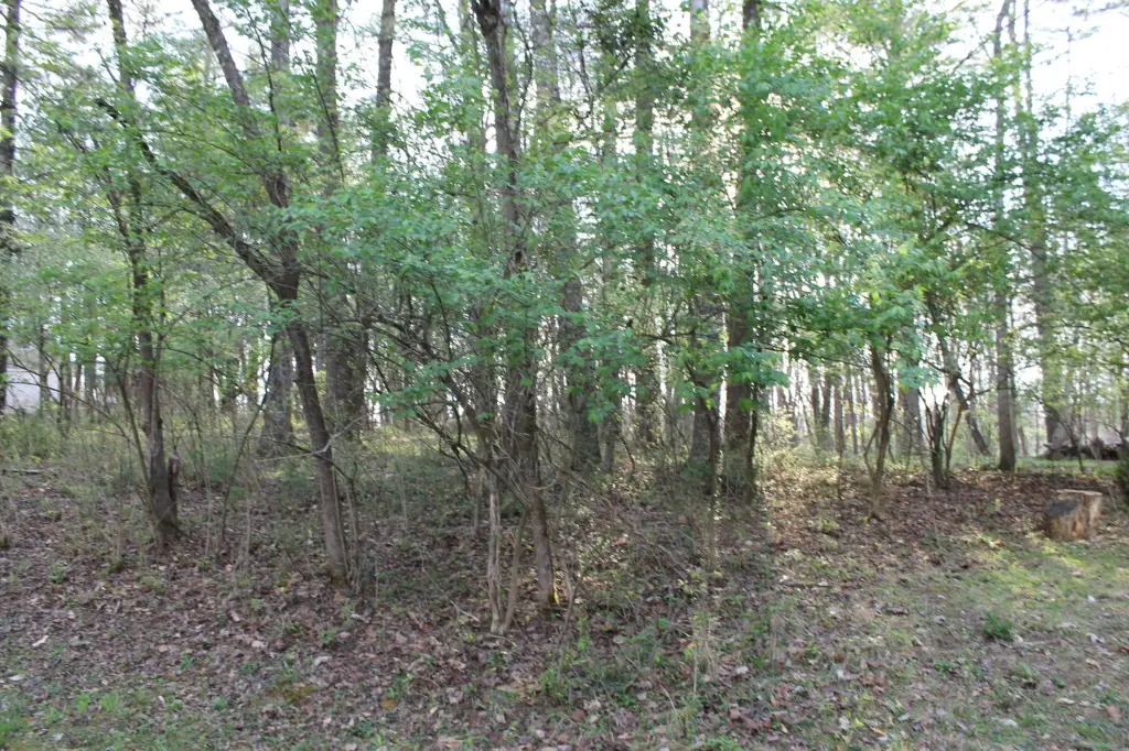 Picture 13