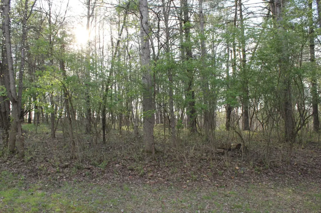 Picture 12