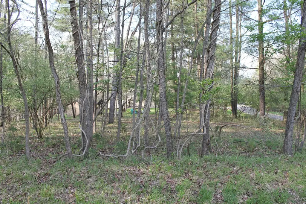 Picture 8