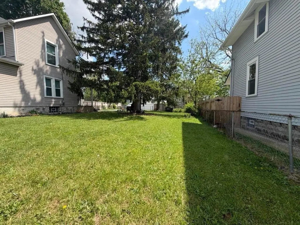 Picture 7