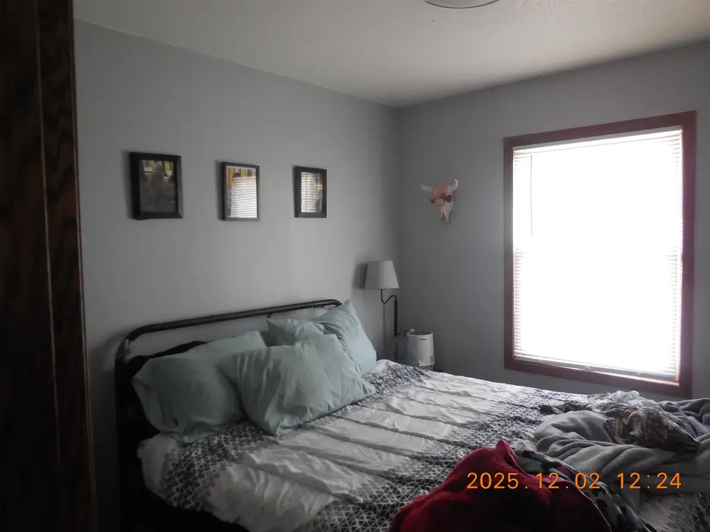 Picture 5