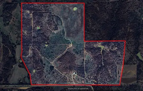 Texas Ranch Living and Hunting