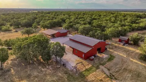 Texas Ranch Living and Hunting