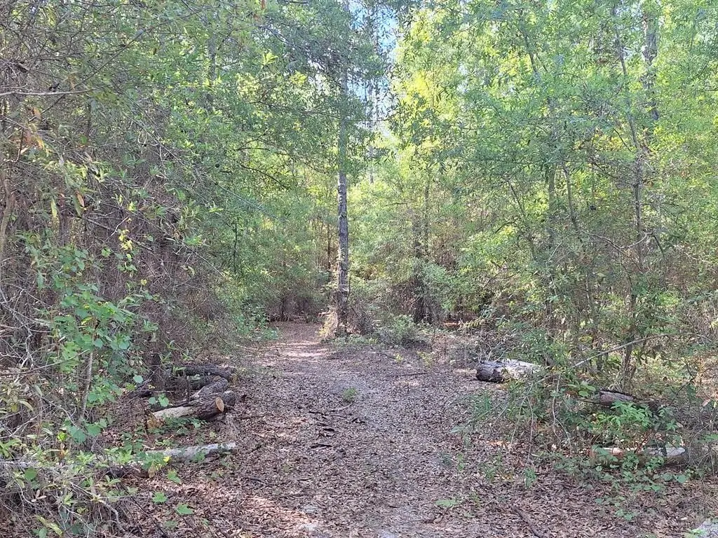 Picture 18