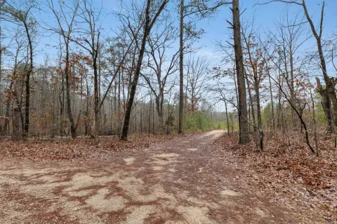 8 Acres Near National Forest