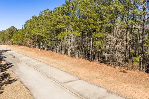 Lakefront Lot in Eagle Pointe