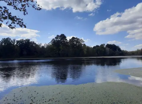 Thomson, GA Pond Front Land