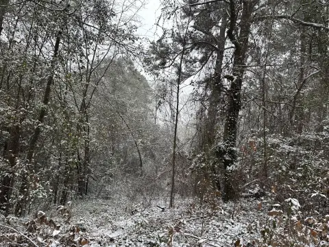 Residential Lot Near Fort Gordon