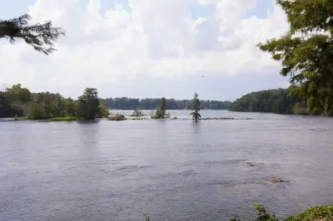 Savannah River Homesite Opportunity